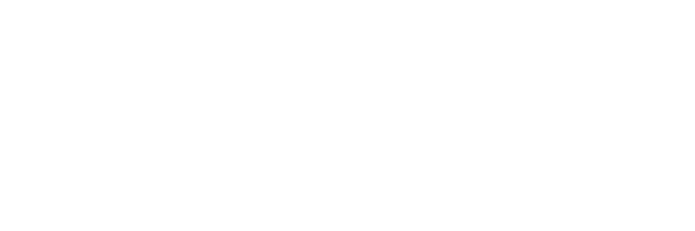 Optimus DQM